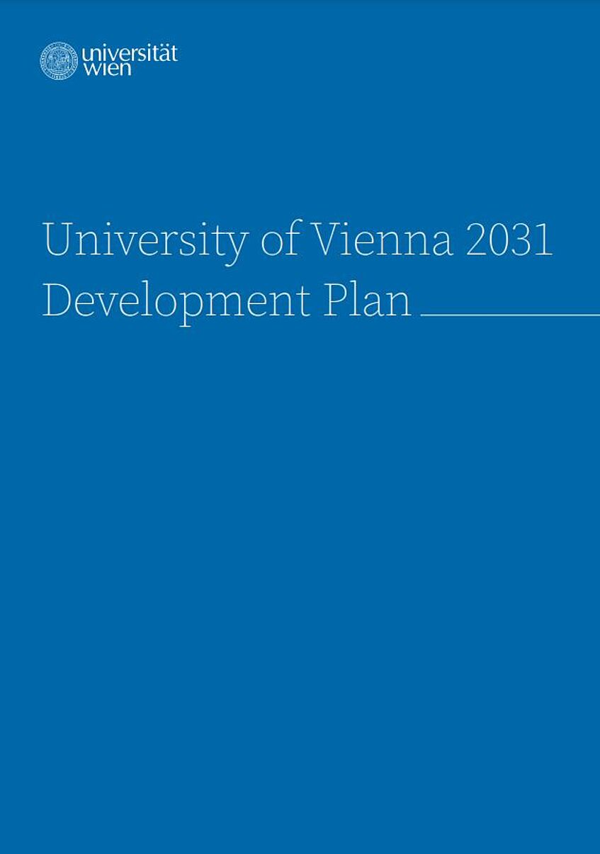 Development Plan